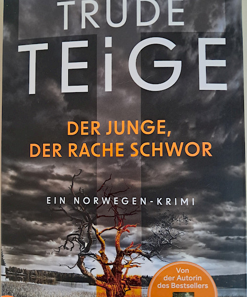 Trude Teige: Der Junge, der Rache schwor